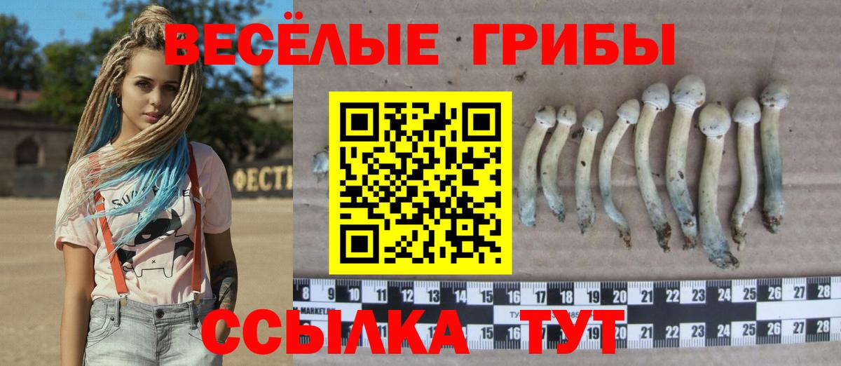 Галлюциногенные грибы мицелий Губаха